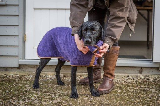 Hundebademantel | Purple 