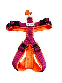 Y Brustgeschirr | Fuchsia - Neonorange 