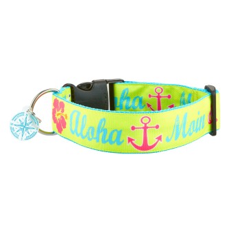SALTYDOG ® ALOHA MOIN & Wuff  |  Türkis 