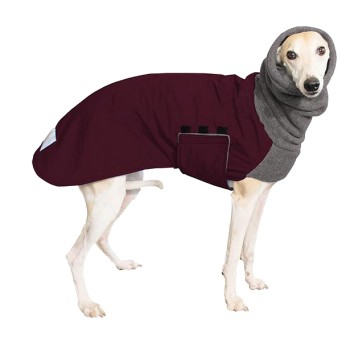 Windhundmantel | Winter | Whippet | Winter | Burgunder 