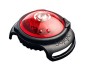 morepic-5