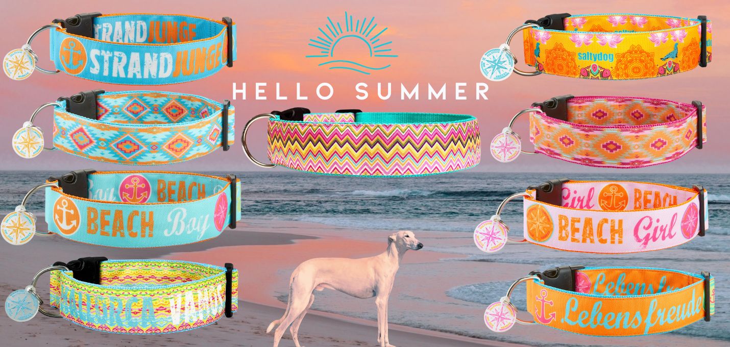 03  Banner  HelloSummer